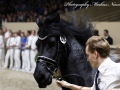 IMG_4313-Haike-482
