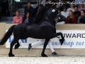 IMG_4324-Haike-482