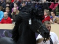 IMG_0135-Harmen-424