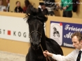IMG_0325-Harmen424