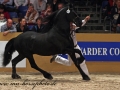 img_7554-harmen424