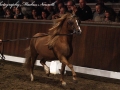 IMG_0016-Barney