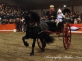 IMG_7942-Folkert353