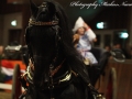 IMG_7990-Folkert353