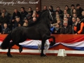 IMG_9772-Bartele472