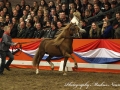 IMG_9969-Barney
