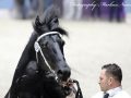 IMG_5697-Herre-524