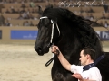 IMG_0337-Hessel-480