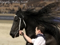 IMG_0338-Hessel-480