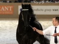 IMG_1805-Hessel-480