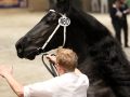 IMG_1840-Hessel-480