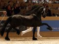 IMG_3765-Hessel-480