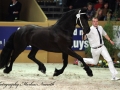 img_1024-hessel480