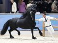 IMG_4376-Hildwin-528