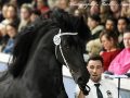 IMG_4389-Hildwin-528