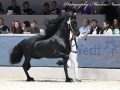 IMG_4397-Hildwin-528