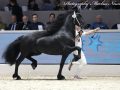 IMG_4408-Hildwin-528