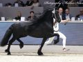 IMG_4424-Hildwin-528