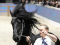 IMG_4457-Hildwin-528