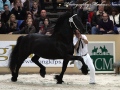 IMG_0372-Hinne-427