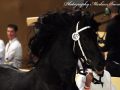 IMG_7421-Hinne-427