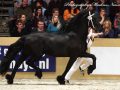 IMG_7432-Hinne-427
