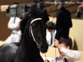 IMG_7443-Hinne-427