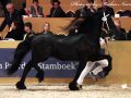 IMG_7444-Hinne-427