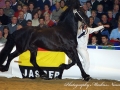 IMG_3192-Ielke-382