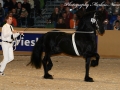 IMG_6184-Ielke-382