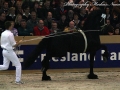 IMG_6720-Ielke-382