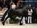 IMG_3784-Imp-2017