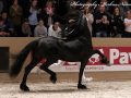 IMG_3953-Nane-492-Imp-2017