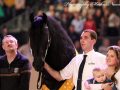IMG_4554-Jurre-495-Imp-2017