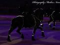 IMG_7919-Imp-2017
