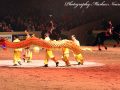 IMG_8173-Imp-2017
