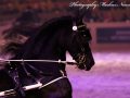 IMG_8282-Imp-2017