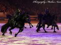 IMG_8624-Imp-2017