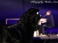 IMG_8923-Imp-2017