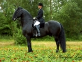 449404-jakob302