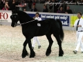 IMG_8796-Jakob-302