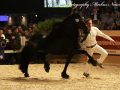 IMG_2178-Jasper-366