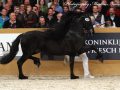 IMG_3097-Jasper-366