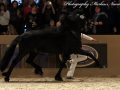 IMG_3363-Jasper-366