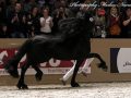 IMG_3367-Jasper-366