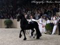 IMG_5613-Jasper-366