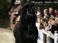 IMG_8089-Jasper366