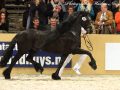 IMG_9440-Jasper-366