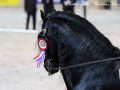 IMG_9633-Jasper-366