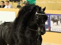 IMG_9984-Jasper-366